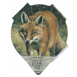 734 B - Unser Wild /R