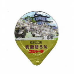 Japan - Kirschblueten II