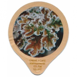 1.301 A - Winter Impresionen