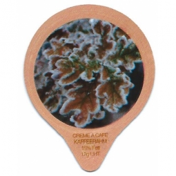 1.301 C - Winter Impresionen /G