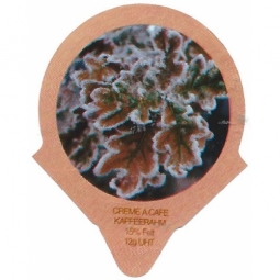 1.301 C - Winter Impresionen /R