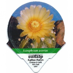 1.300 C - Kakteenblueten