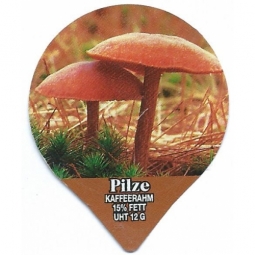 1.308 B - Pilze II /G