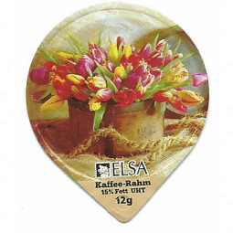 6.120 Tulpen /G