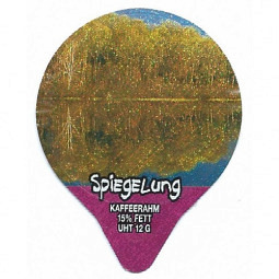 7.293  Spiegelung /G