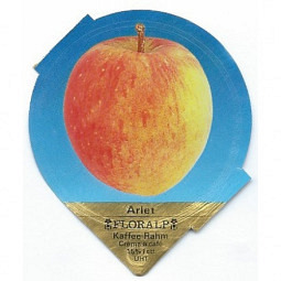 1.100 A - Aepfel /R