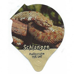 7.556 Schlangen /R