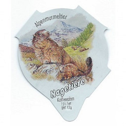 7.545 Nagetiere /R