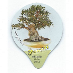 7.503 Bonsai /G