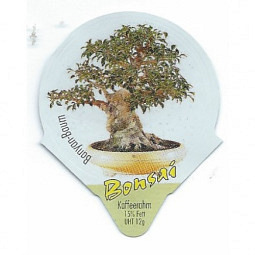 7.503 Bonsai /R