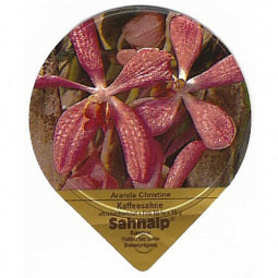 D-35 A - Orchideen