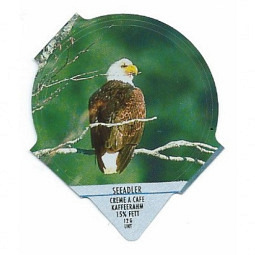 1.136 A - Seeadler /R