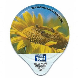 3.164 A - Sonnenblumen