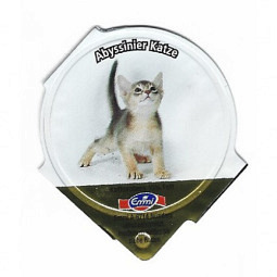 A-81 B - Hauskatzen
