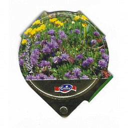 A-73 B - Wildblumen