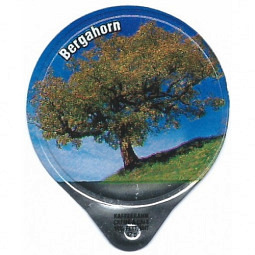 1.436 C - Baumarten