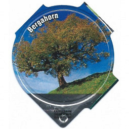 1.436 D - Baumarten