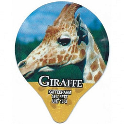 7.249  Giraffe /G
