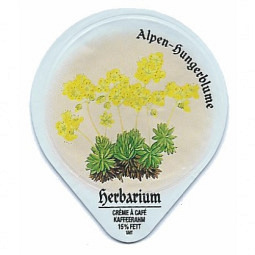 497 A - Herbarium