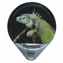 494 A - Reptilien