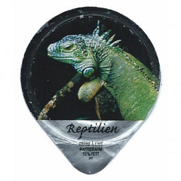 494 B - Reptilien