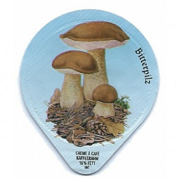 485 A - Pilze