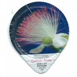 453 A - Exotische Blueten