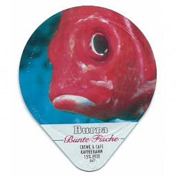465 A - Bunte Fische