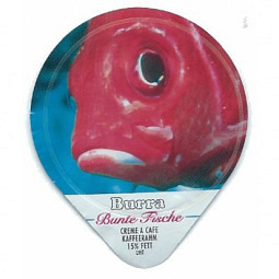 465 C - Bunte Fische