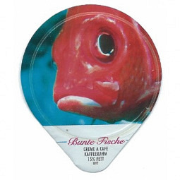 465 D - Bunte Fische
