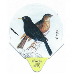 7.280  Landvögel /R