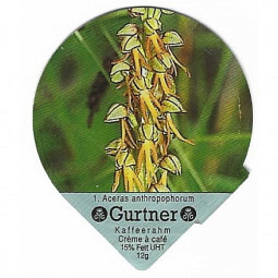 PS 10/95 A - Einh.Orchideen  /R