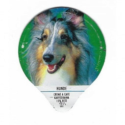 PS 15/95 B - Hunde /G