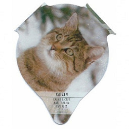 PS 31/94 A - Katzen /R
