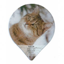 PS 31/94 B - Katzen /G