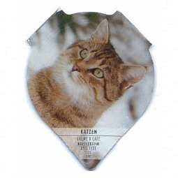 PS 31/94 B - Katzen /R