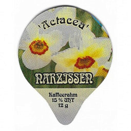 PS 08/02 A - Narzissen /G