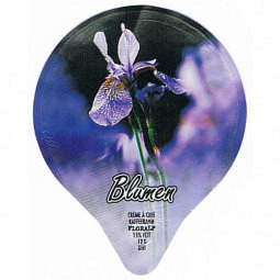 7.213  Blumen /G