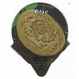 PS 02/96 C - Pilze /R