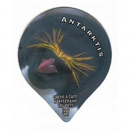 PS 05/96 B - Antarktis /G