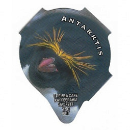 PS 05/96 C - Antarktis /R