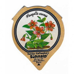 A-03 C - Wald & Wiesenblumen /R
