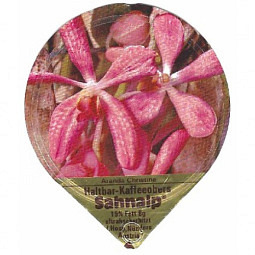 A-01 B - Orchideen