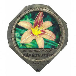 HU-02 C - Blumen