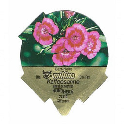 D-56 A - Blumen /R