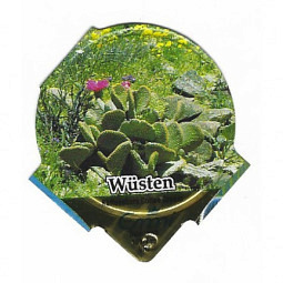 A-53 B - Wuesten