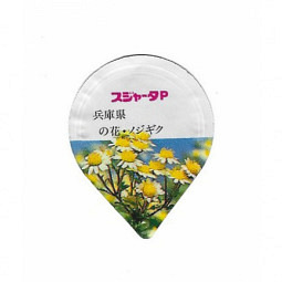 Japan - Blumen