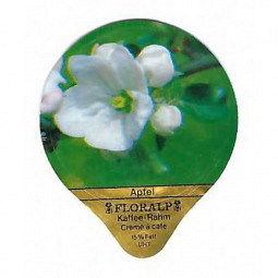 91 B - Blueten /G