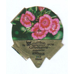 D-56 B - Blumen /R