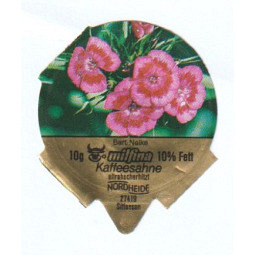 D-56 C - Blumen /R